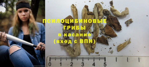 тгк Зеленокумск
