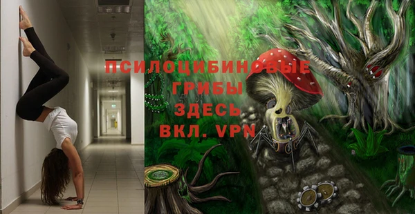 2c-b Зерноград