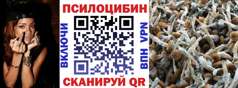 купить наркоту  Чердынь  сайты даркнета Telegram  Галлюциногенные грибы Psilocybe 