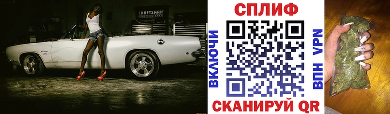 Бошки Шишки планчик  Чердынь 